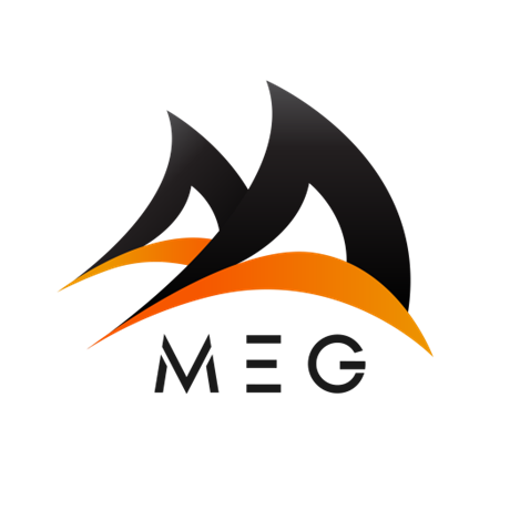 MEG - 1